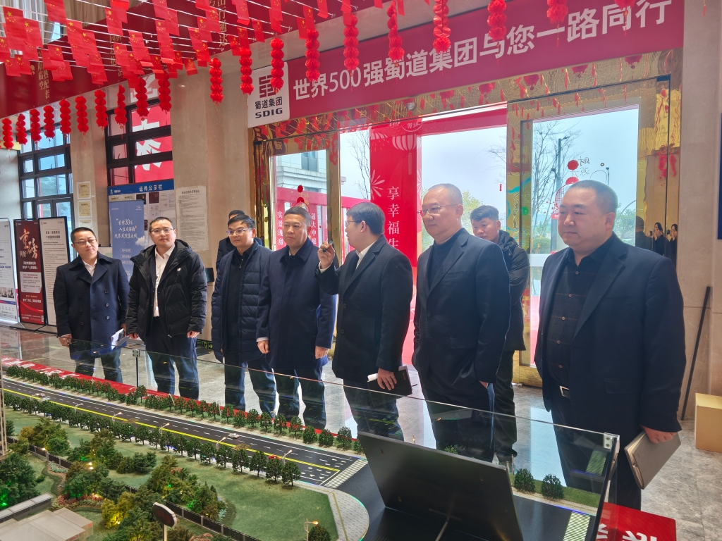 肖晓康赴资阳“丽景雅居”项目调研